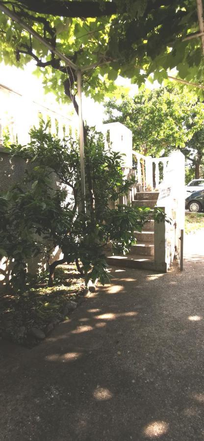 Sobe I Apartmani Marovic Petrovac 外观 照片