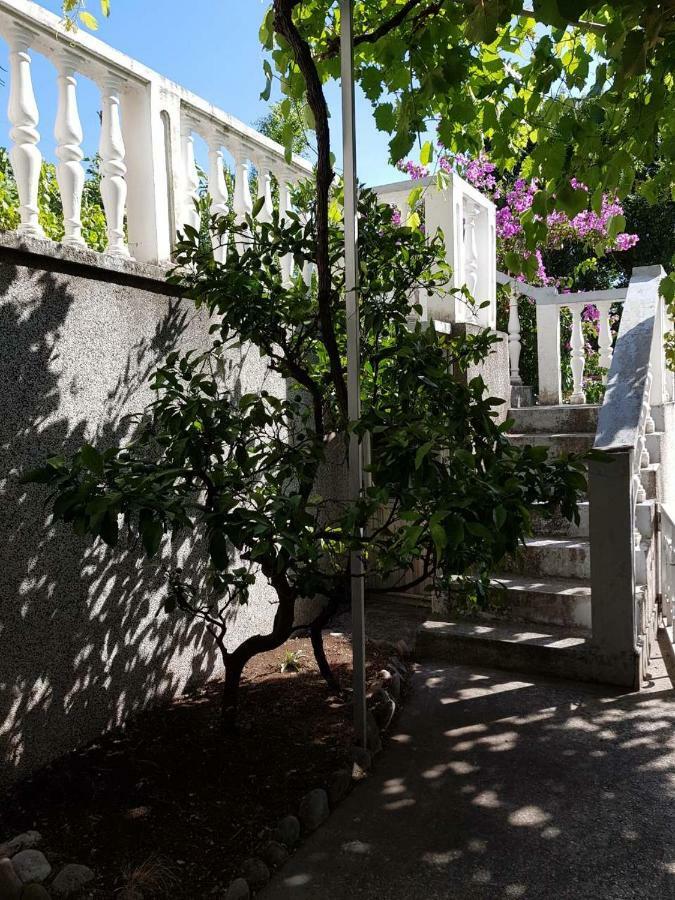 Sobe I Apartmani Marovic Petrovac 外观 照片